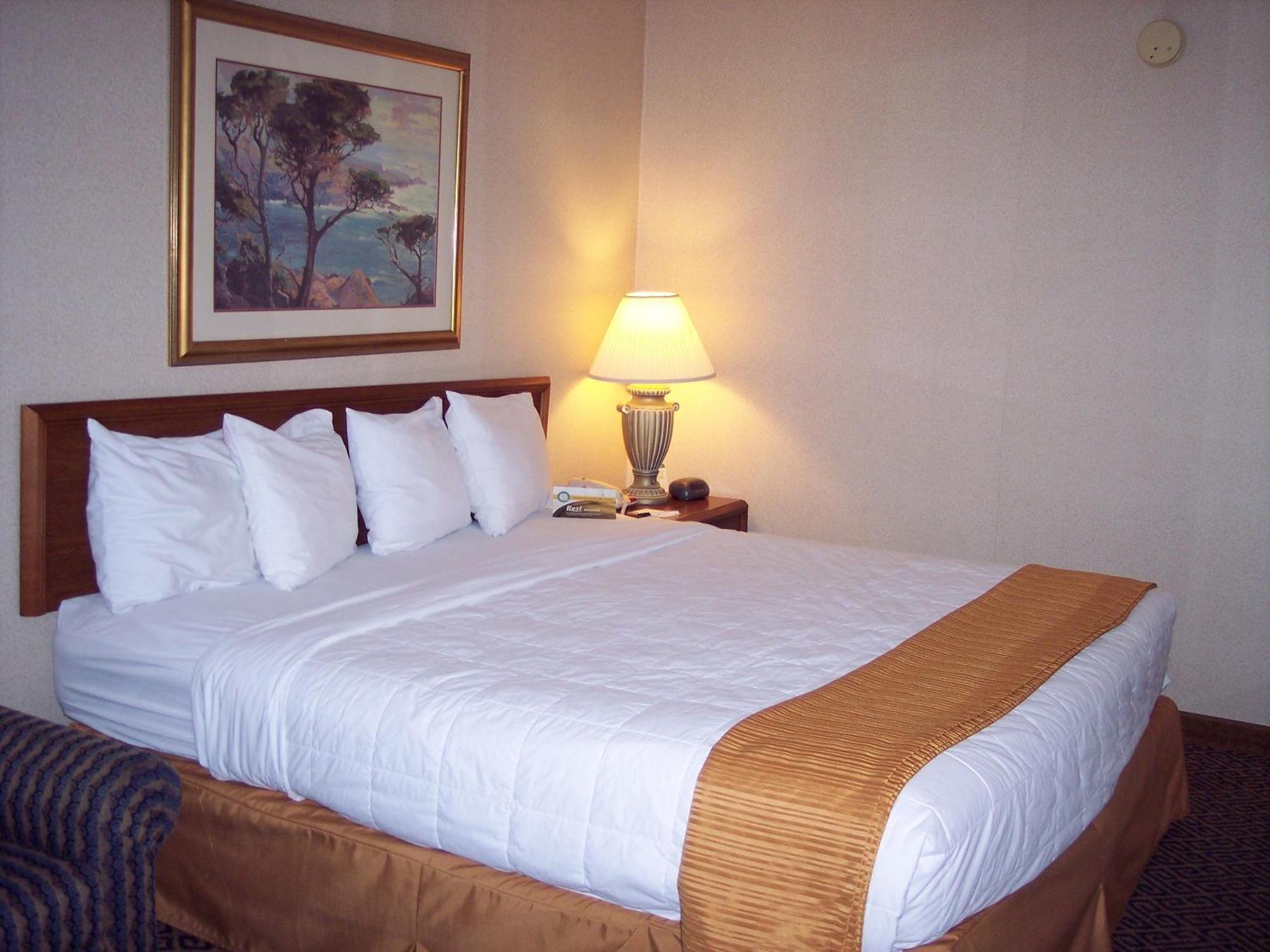 Quality Inn And Conference Center Springfield Oda fotoğraf
